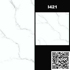Gạch Ốp Lát 60x60cm Ấn Độ I421