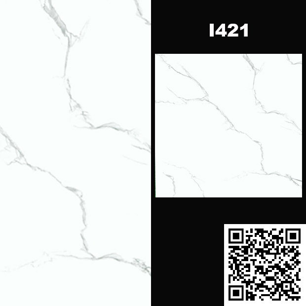 Gạch Ốp Lát 60x60cm Ấn Độ I421