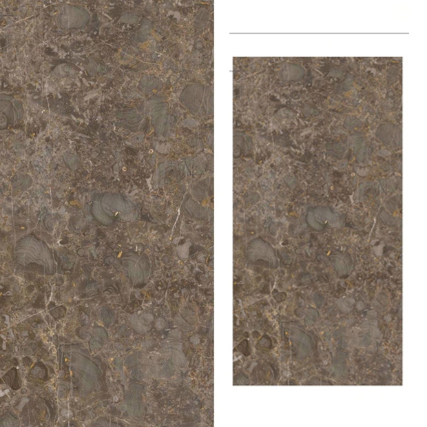 Gạch Ốp Lát Ấn Độ 80x160 Titanio Gold Gạch Ốp Lát Ấn Độ 80x160 Titanio Gold