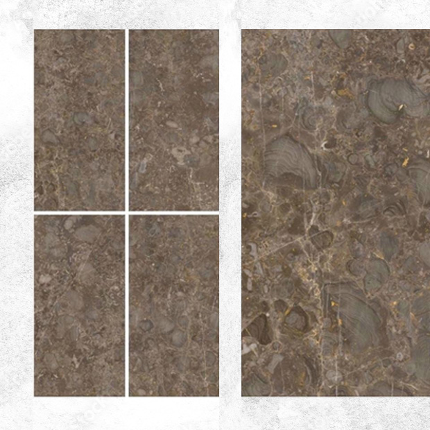 Gạch Ốp Lát Ấn Độ 80x160 Titanio Gold Gạch Ốp Lát Ấn Độ 80x160 Titanio Gold