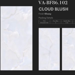 Gạch Ốp Lát 80x160cm Ấn Độ VA-BF86.102