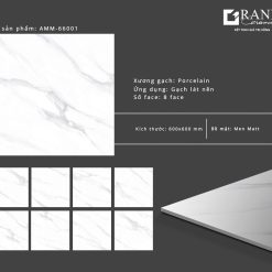 Gạch lát nền Grand Ceramic 60x60 AMM 66001