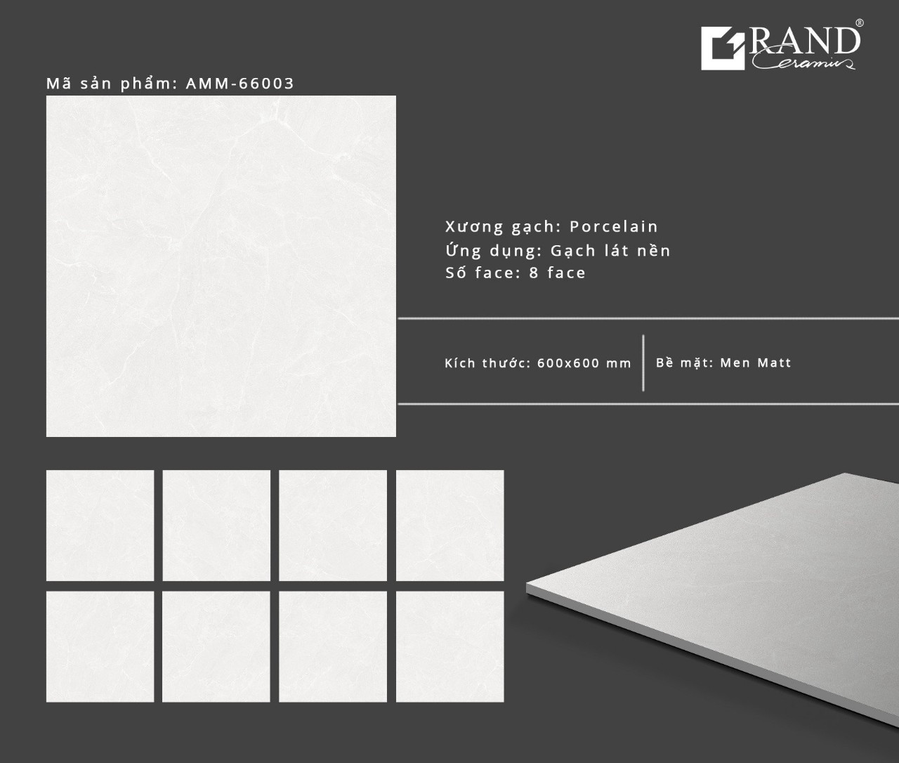 Gạch lát nền Grand Ceramic 60x60 AMM 66003 Gạch lát nền Grand Ceramic 60x60 AMM 66003