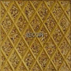 Gạch lát vỉa hè Secoin 20x20 OD-20-37