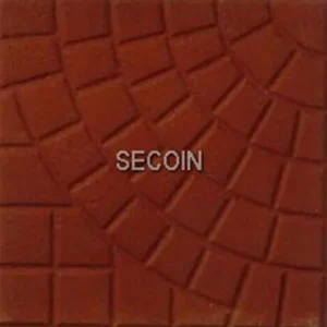 Gạch lát vỉa hè Secoin 25x25 OD-25-124