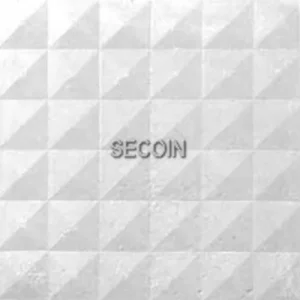 Gạch lát vỉa hè Secoin 25x25 OD-25-18