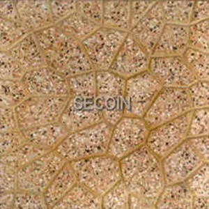 Gạch lát vỉa hè Secoin 30x30 OD-30-136