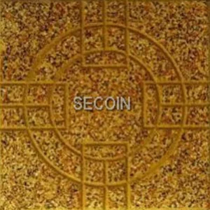 Gạch lát vỉa hè Secoin 30x30 OD-30-140