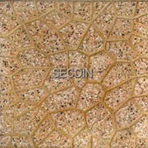 Gạch lát vỉa hè Secoin 30x30 OD-30-165