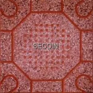 Gạch lát vỉa hè Secoin 30x30 OD-30-5