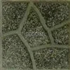 Gạch lát vỉa hè Secoin 40x40 OD-40-121