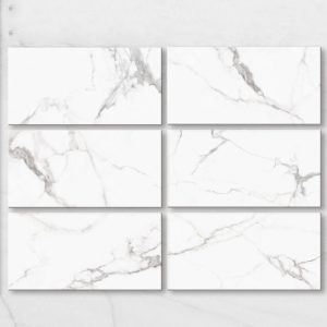 Gạch ốp lát Viglacera 60x120 AMM 61202