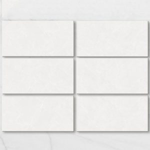 Gạch ốp lát Viglacera 60x120 AMM 61203