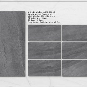 Gạch ốp lát Viglacera 60x120 ASM 61205