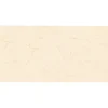 Gạch ốp tường 40x80 TASA 4801