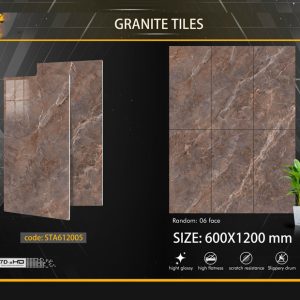 Gạch Sant Agostino 60x120 STA612005