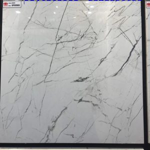 Gạch ốp lát 60×60 vân đá đen trắng Taicera GP68905