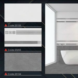 Gạch Ốp Lát 30x60 Takao 236NM
