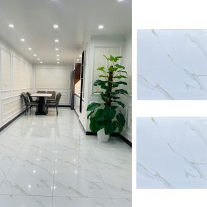 Gạch Ốp Lát 80x80 Takao TK6080