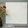 Gạch Ốp Lát 60x60cm Takao TK56304