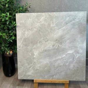 Gạch Ốp Lát Trung Quốc 100x100 9K016