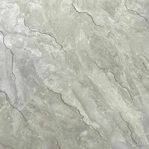 Gạch Ốp Lát Trung Quốc 100x100 9K026