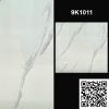 Gạch Ốp Lát Trung Quốc 100x100 9K1011