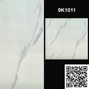 Gạch Ốp Lát Trung Quốc 100x100 9K1011