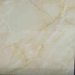 Gạch Ốp Lát Trung Quốc 100x100 9K1013