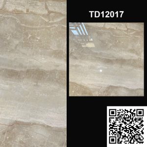 Gạch Ốp Lát Trung Quốc 120x120 TD12017