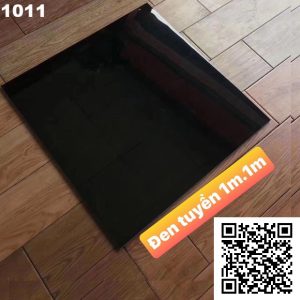 Gạch Ốp Lát Trung Quốc 1mx1m 1011