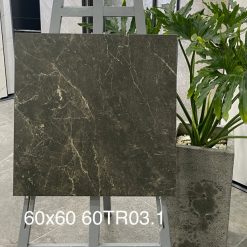 Gạch Ốp Lát Trung Quốc 60x60cm 60TR03