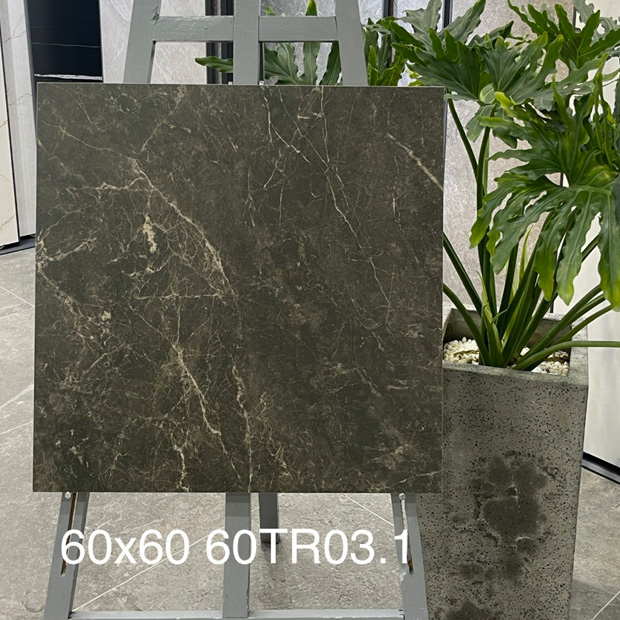 Gạch Ốp Lát Trung Quốc 60x60cm 60TR03