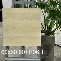 Gạch Ốp Lát Trung Quốc 60x60cm 60TR06