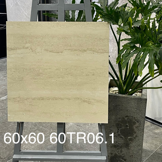 Gạch Ốp Lát Trung Quốc 60x60cm 60TR06