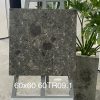 Gạch Ốp Lát Trung Quốc 60x60cm 60TR09