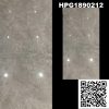 Gạch Ốp Lát Trung Quốc 80x160cm HPG1890212
