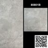 Gạch Ốp Lát Trung Quốc 80x80 80801B