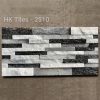 Gạch Việt Nam 25x50 HK2510