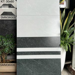 Gạch Ốp Lát 30x60 Viglacera SMM360056