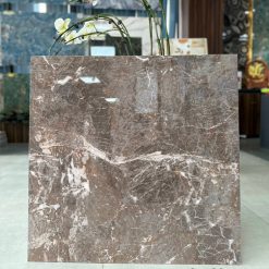 Gạch Ốp Lát 80x80 Viglacera C88SS906