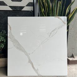 Gạch Ốp Lát 80x80 Viglacera C88VW808