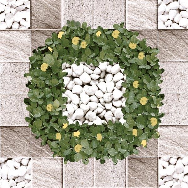 Gạch lát sân vườn 40x40 Viglacera SG404 6 Gạch lát sân vườn 40x40 Viglacera SG404 5