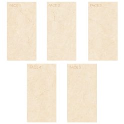 Gạch ốp lát Viglacera 60×120 MD-D61202