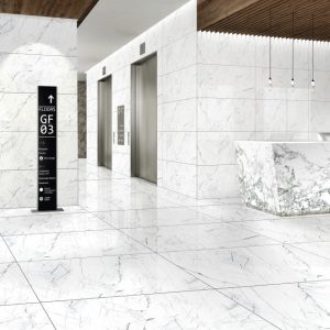 Gạch ốp lát vân đá đen trắng Taicera GP88905