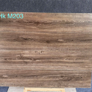 Gạch Ốp Lát 20x100cm Trung Quốc HkLx109