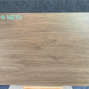 HkM210