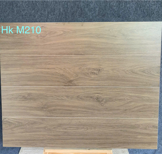 HkM210-2 Gạch Ốp Lát 20x100cm Trung Quốc M202