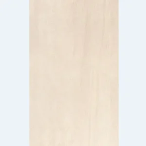 Gạch ốp tường 60x120 KIS K12030_PA