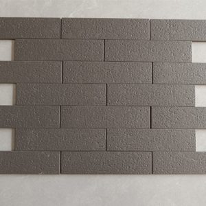 Gạch Ốp Lát Trung Quốc 6x24cm M2453